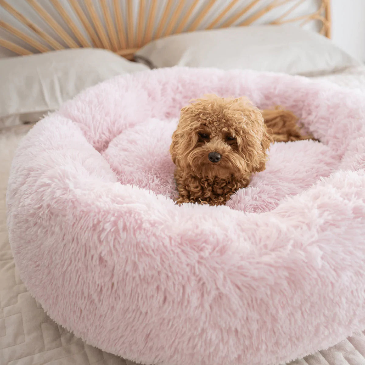 Relaxed Zipper Dog Bed