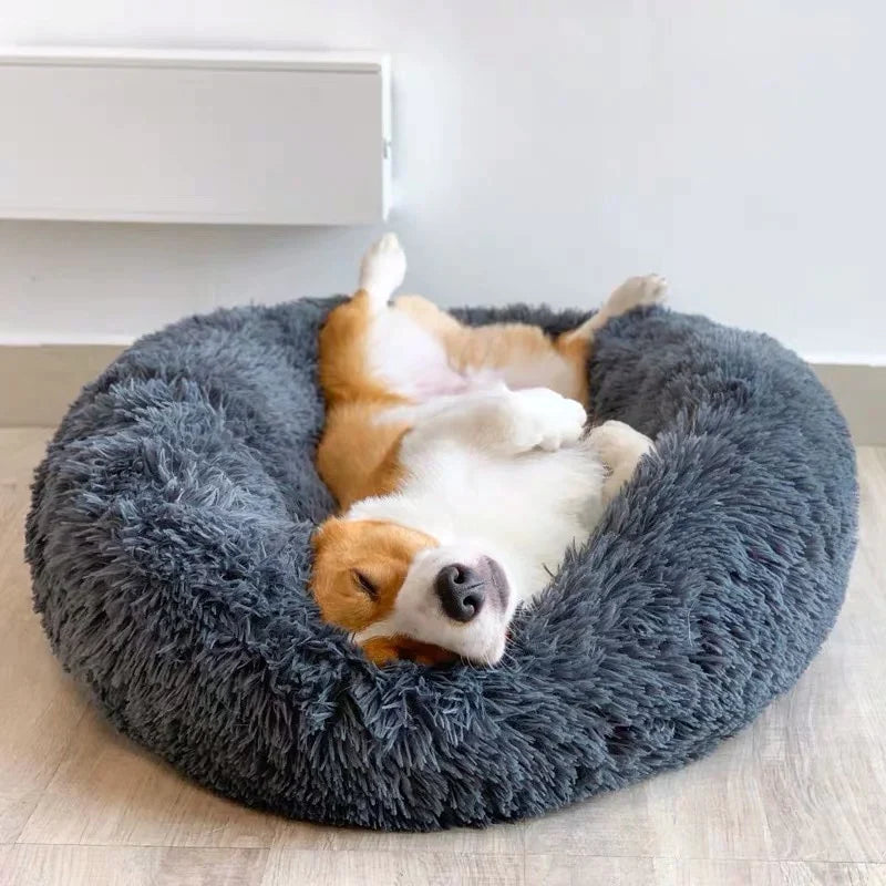 Relaxed Zipper Dog Bed