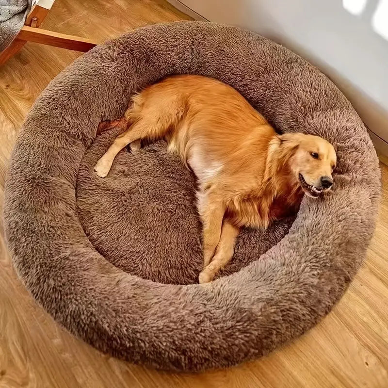Relaxed Zipper Dog Bed